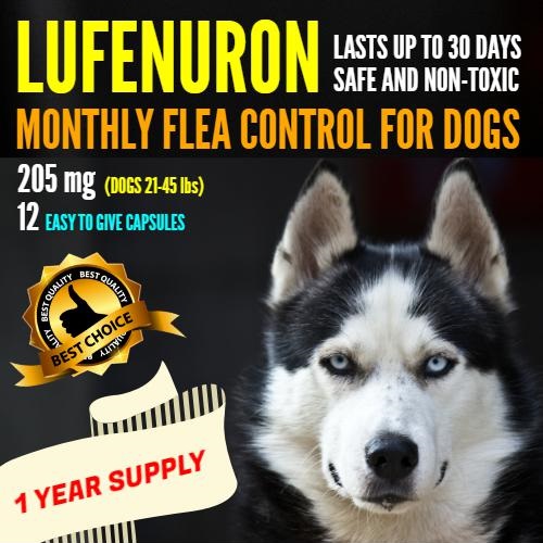 6 Monthly Capsules Flea Egg Killer 90 mg Dogs 11-20 lbs /& Cats Up to 6 lbs