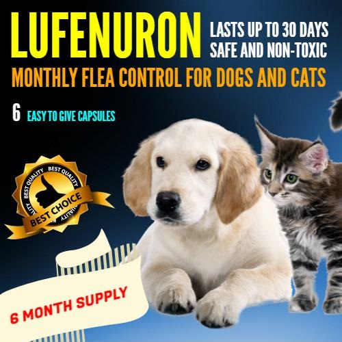 Lufenuron, 6 Month Supply For Cats & Dogs Animal Lovers House LLC